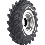Ascenso BOSS TD 16 lastiği