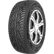 Petlas EXPLERO ICE W681 lastiği