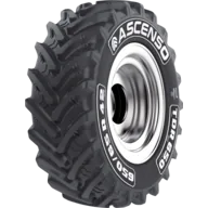 Ascenso TDR 650 lastiği