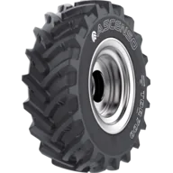 Ascenso TDR 700 lastiği