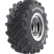 Ascenso VDR 2000 lastiği
