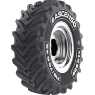 Ascenso XLR 880 lastiği
